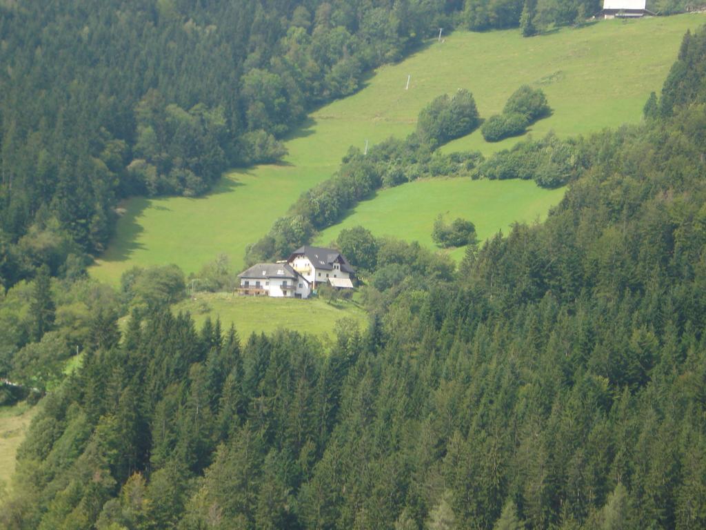 Farmstay Hisa Pecovnik Luče Εξωτερικό φωτογραφία