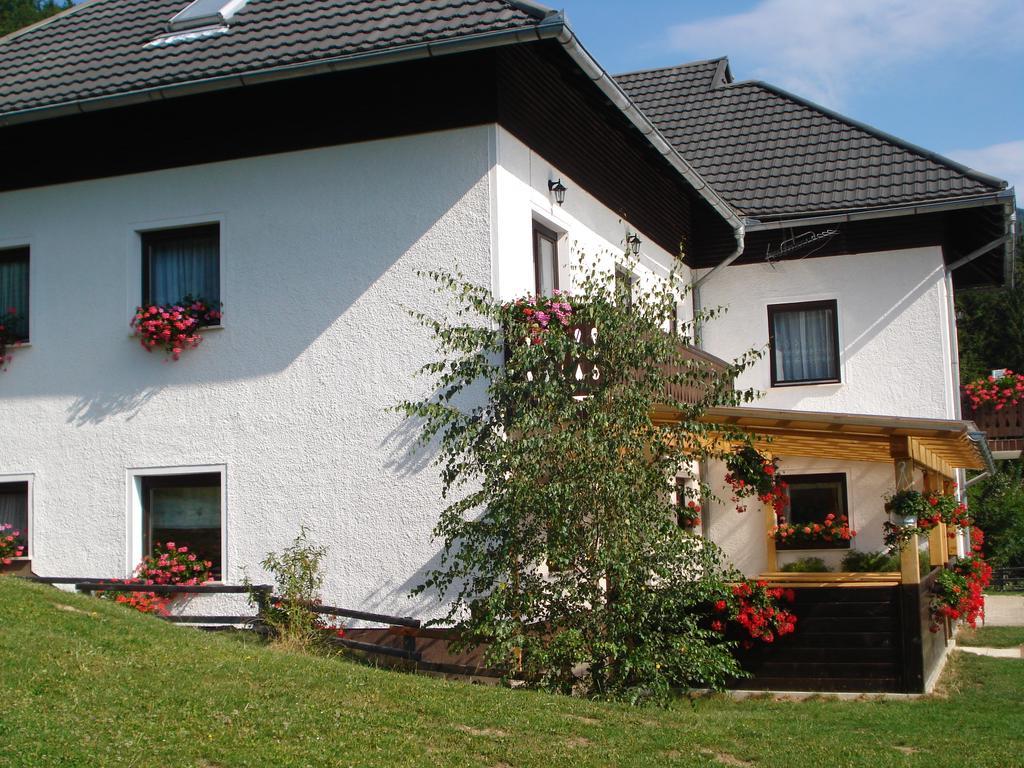 Farmstay Hisa Pecovnik Luče Εξωτερικό φωτογραφία