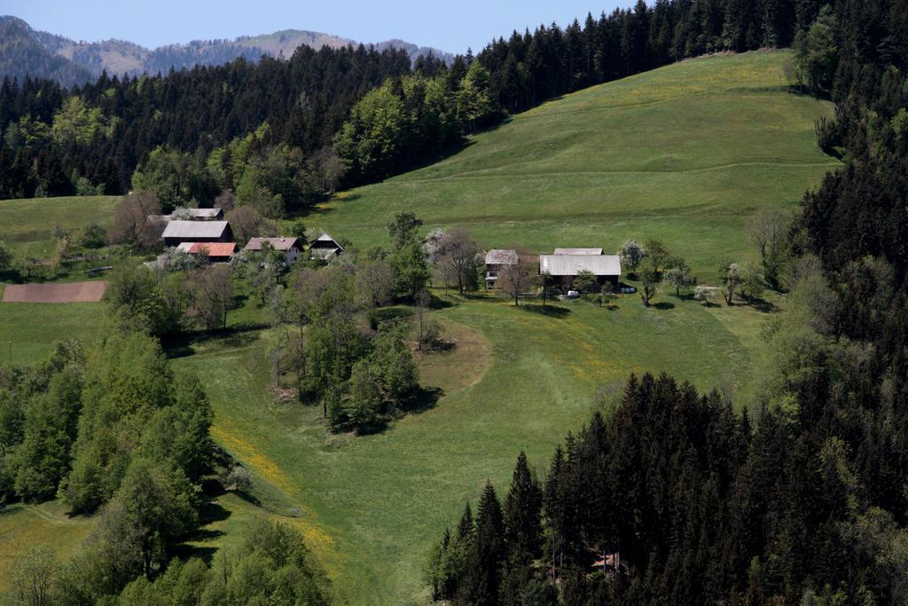 Farmstay Hisa Pecovnik Luče Εξωτερικό φωτογραφία